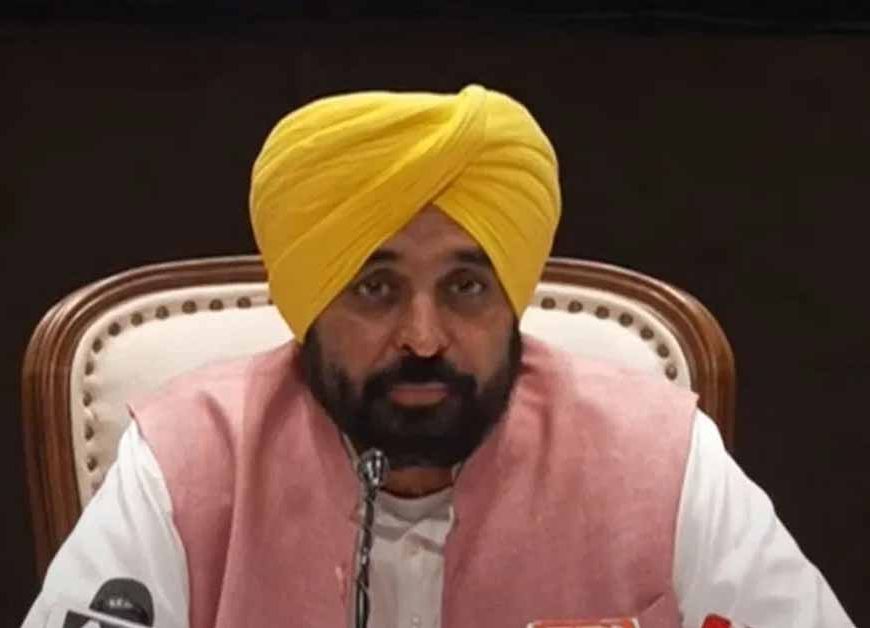 जिसका खेत, उसकी रेत! CM भगवंत मान ने बाढ़ पीड़ितों के हक में लिया बड़ा फैसला