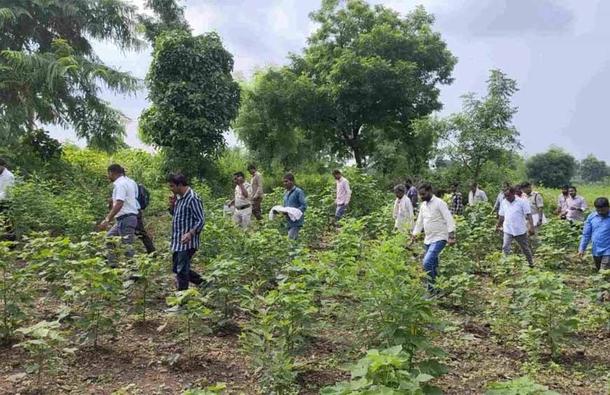 MP में जुड़वां नवजातों की मौत: 15 दिन बाद कब्र से निकाला गया बच्चे का शव, पोस्टमार्टम से खुलेंगे राज