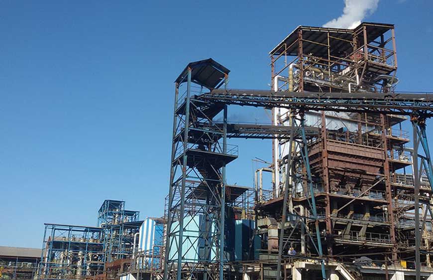 सोम डिस्टलरी पर एक्साइज विभाग का बड़ा एक्शन, 8 ठिकानों पर छापा, 50 करोड़ की टैक्स चोरी का खुलासा