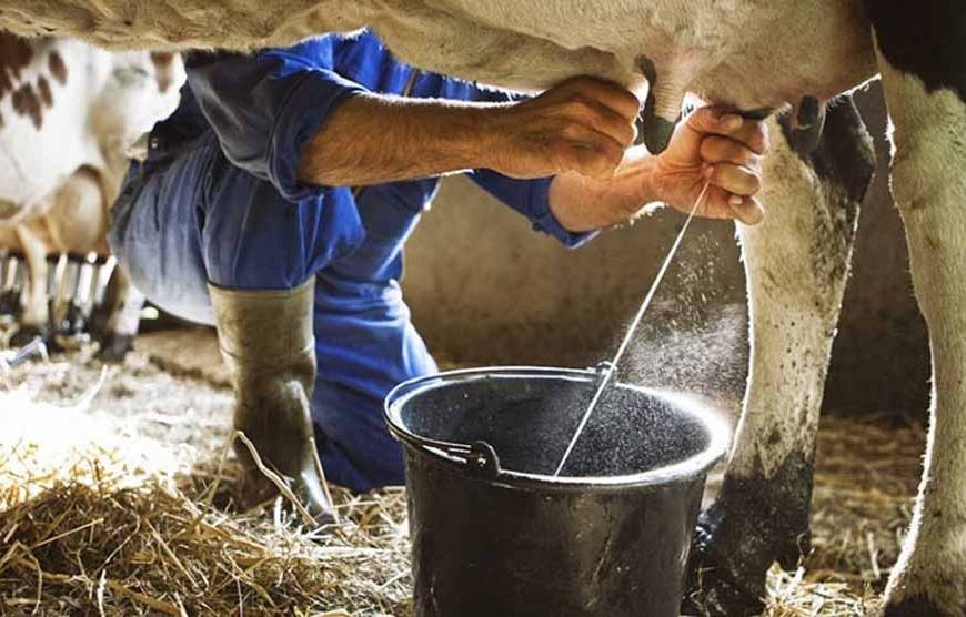 प्रदेश में 2 अक्टूबर से प्रारंभ होगा दुग्ध समृद्धि सम्पर्क अभियान