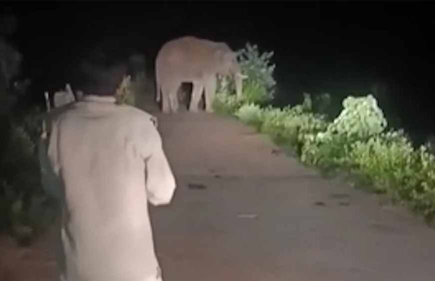 दंतैल का आतंक: बस्ती में घुसकर मकान-दुकान तोड़े, ग्रामीणों में दहशत