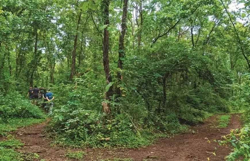 सेवा पर्व को 'स्वच्छ उत्सव' के रूप में भी मनाएगा वन विभाग