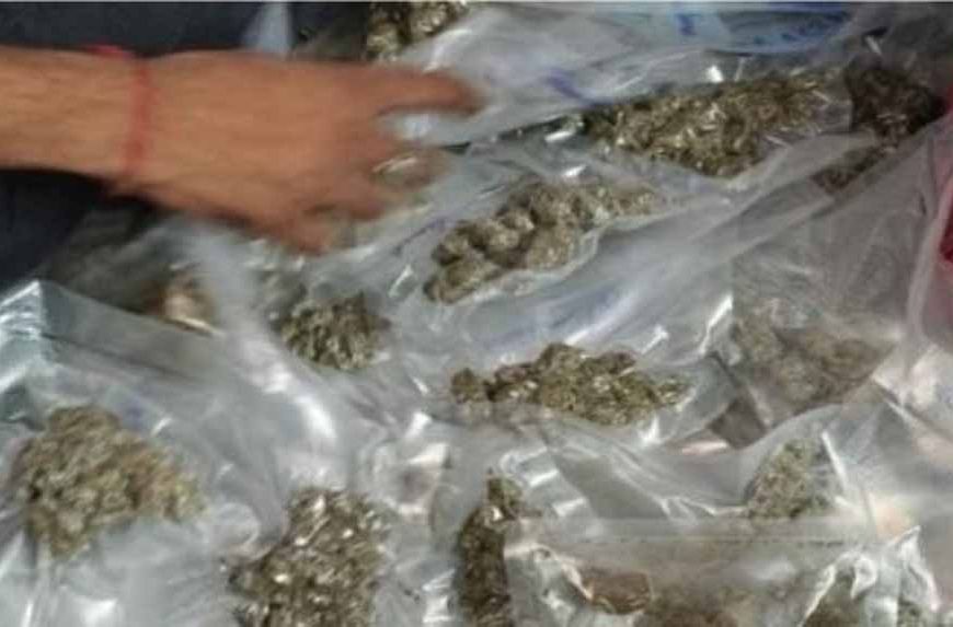 कोलकाता में बड़ी कार्रवाई: DRI ने 26 करोड़ के मादक पदार्थ जब्त किए, 10 आरोपी गिरफ्तार