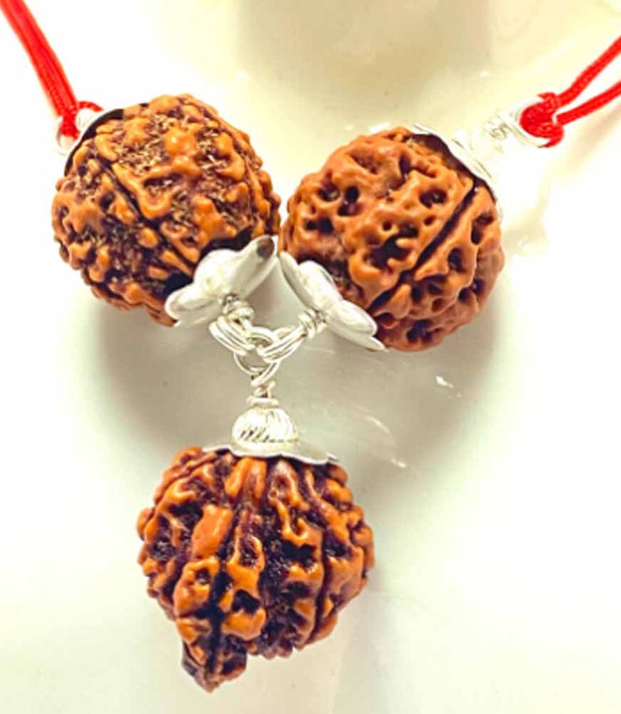 सर्वविध कल्याणकारी है रुद्राक्ष-कवच