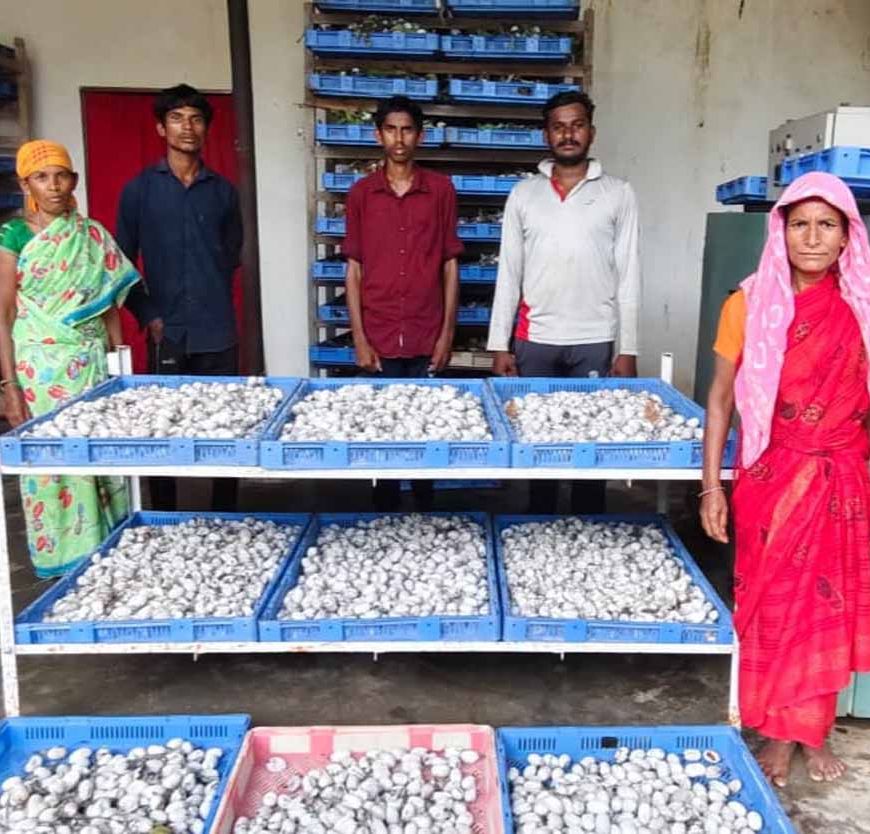 रेशम की डोर से बुनी आत्मनिर्भरता – दंतेवाड़ा की महिलाओं को मिली नई पहचान