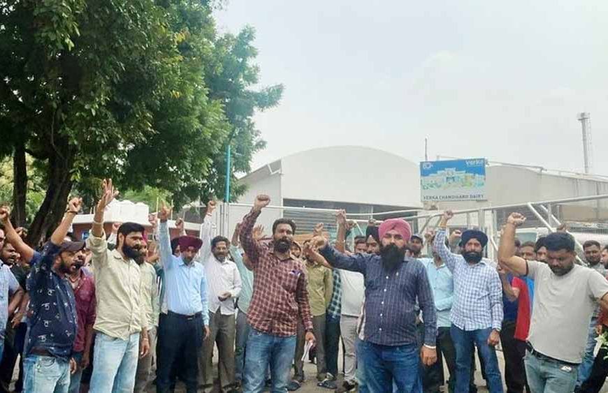 वेरका मिल्क व कैटलफीड प्लांट के आउटसोर्स कर्मचारी यूनियन का बड़ा ऐलान, करेंगे CM आवास का घेराव