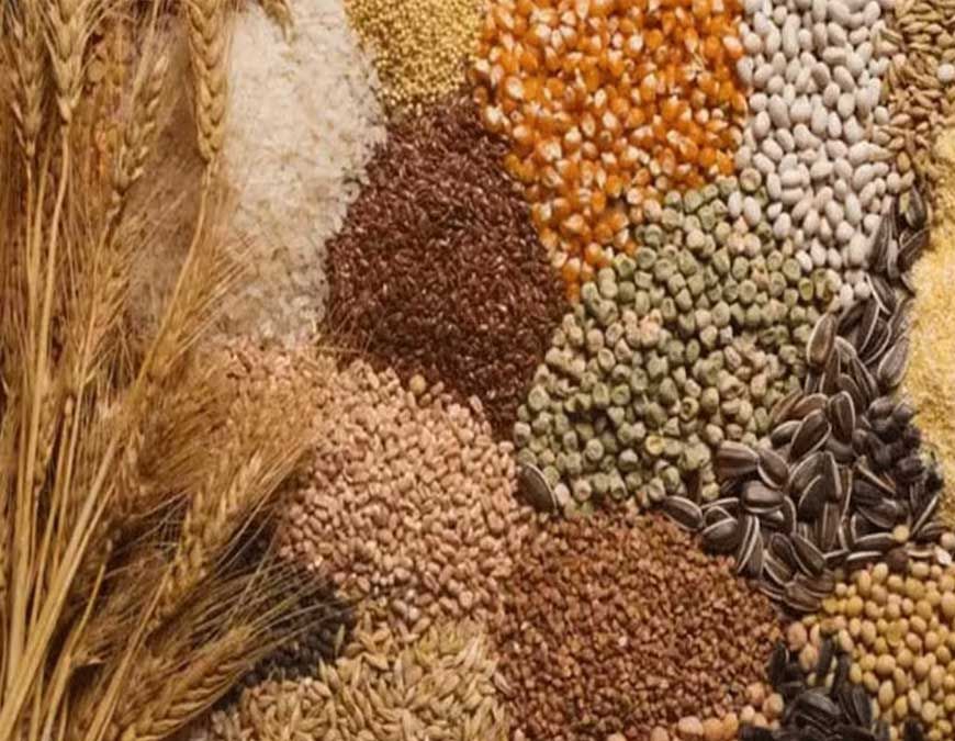 पहली अक्टूबर से शुरू होगी मोटे अनाज की खरीद