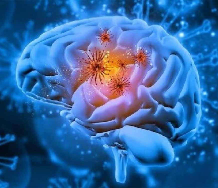 केरल में दिमाग खाने वाला अमीबा: 19 मौतों के बाद जानें कारण, लक्षण और बचाव
