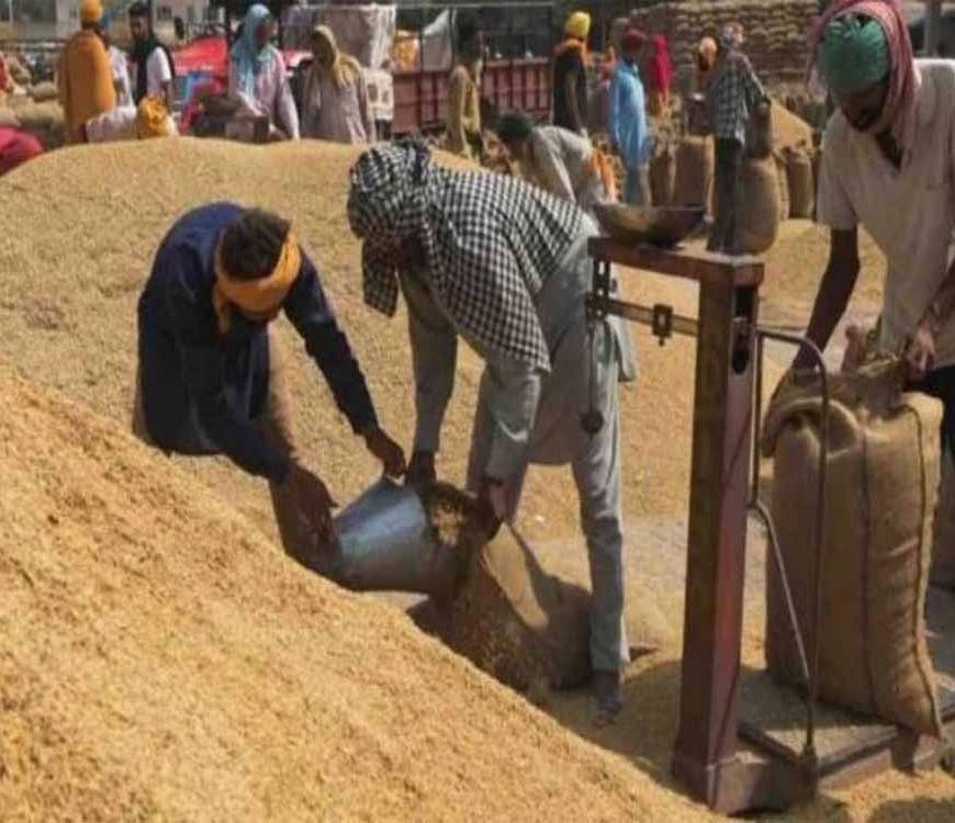 पश्चिमी यूपी में पहली अक्टूबर से होगी धान खरीद, सरकार ने बढ़ाया धान का न्यूनतम समर्थन मूल्य