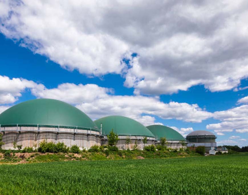 नंगली डेयरी में ग्रीन एनर्जी क्रांति: 200 टन गोबर से रोज बनेगी बायोगैस