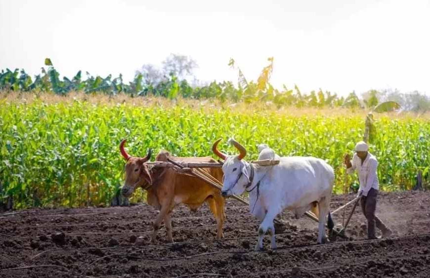 मध्य प्रदेश में 14 लाख मृदा स्वास्थ्य कार्ड, फिर भी किसानों की खाद खपत कम नहीं हुई!