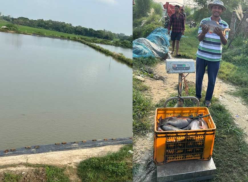मिशन शक्ति से मिली प्रेरणा, तालाब से बदली जिंदगी