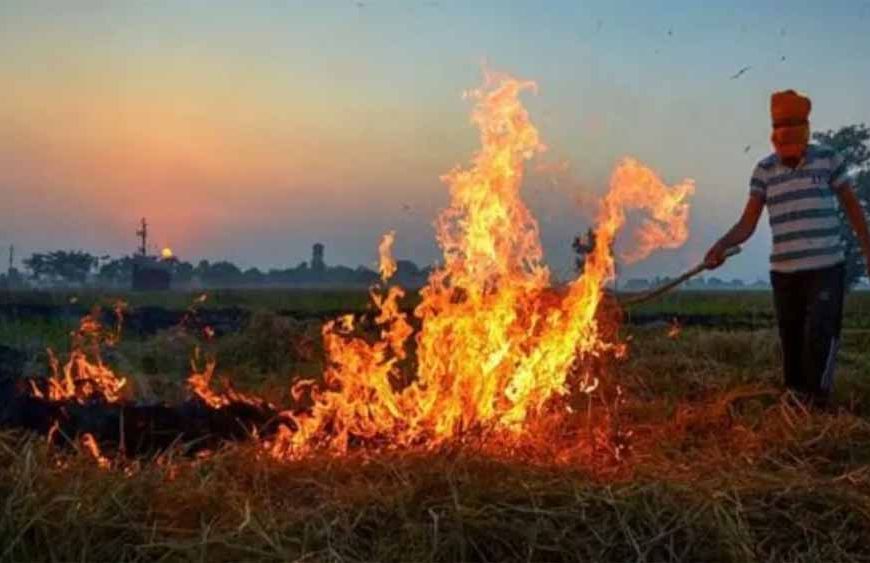 पंजाब में पराली संकट फिर तूल पर: 14 FIR दर्ज, इस जिले में सबसे ज्यादा केस