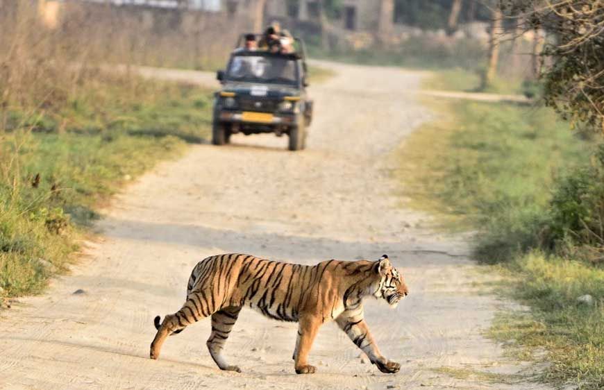 मध्य प्रदेश के राष्ट्रीय उद्यानों और टाइगर रिजर्व में सिंगल यूज प्लास्टिक पर प्रतिबंध, उल्लंघन पर 5000 रुपये तक जुर्माना