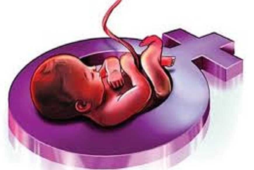 हरियाणा के 11 जिलों में लिंगानुपात में सुधार नहीं, सरकार CMO पर कार्रवाई की तैयारी में