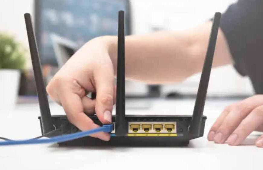 घर में इंटरनेट धीमा? हो सकता है पौधे ही रोक रहे हों WiFi सिग्नल!