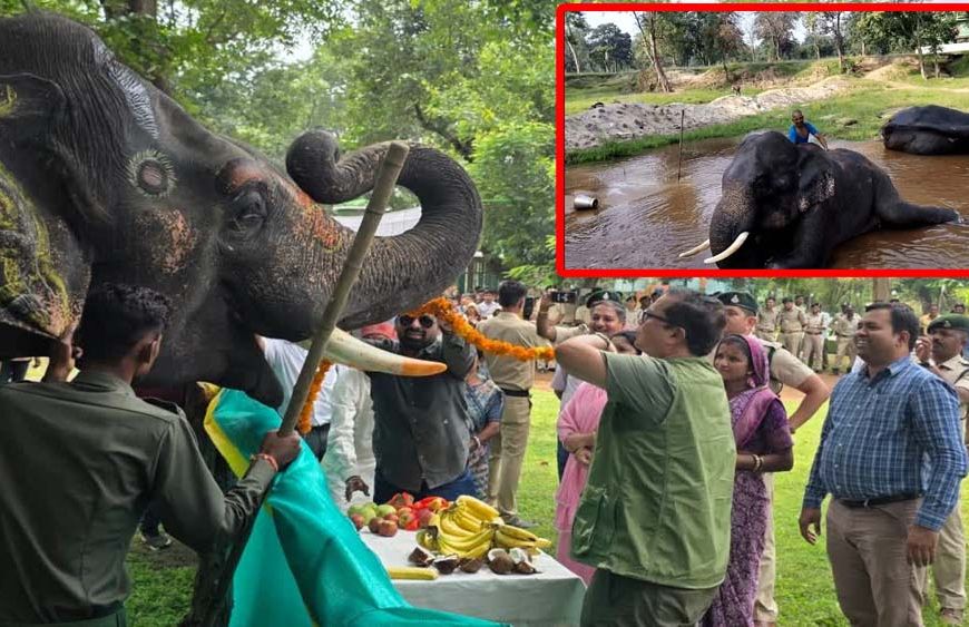 मध्यप्रदेश में सात दिवसीय हाथी महोत्सव का शुभारंभ