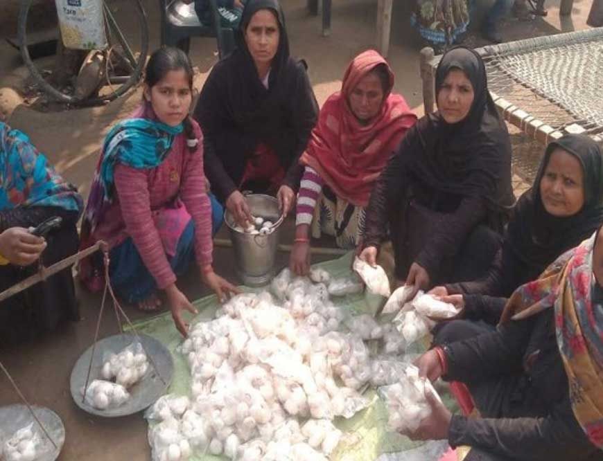 शाहजहांपुर की नेहा कश्यप ने मशरूम खेती से रचा स्वावलंबन का कीर्तिमान