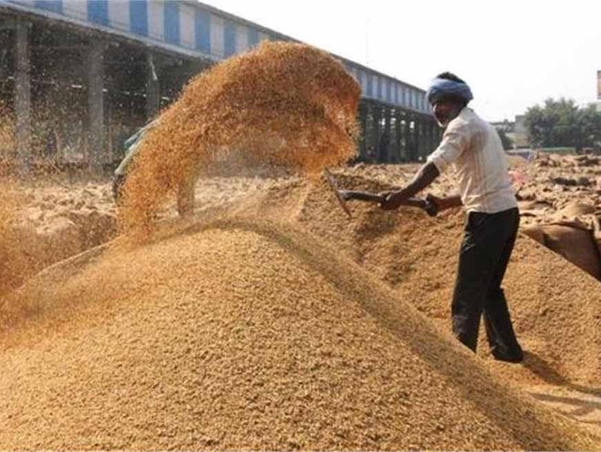 सरकार की सख्ती: अब हर मंडी में HCS अधिकारी की होगी तैनाती, धान खरीद में कोई ढिलाई नहीं!