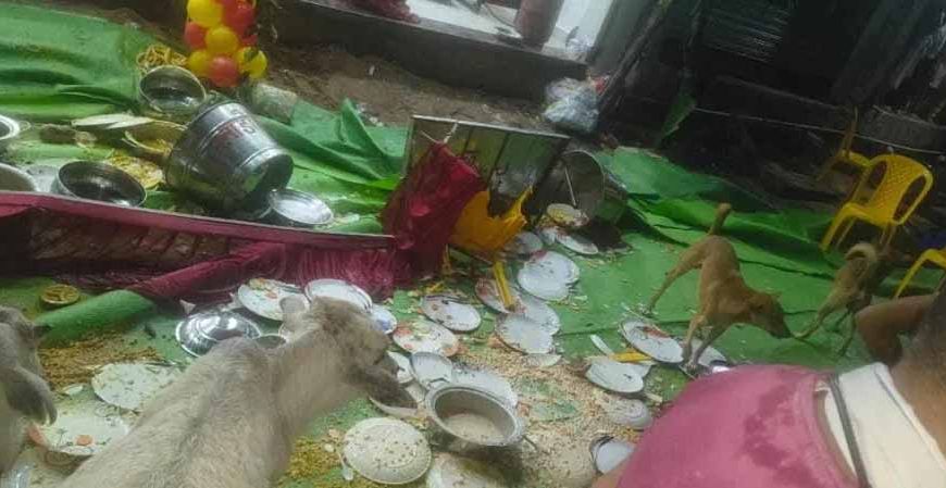 गृह प्रवेश में मातम: तेज रफ्तार कार पंडाल तोड़कर भीड़ में घुसी, चार की हालत नाजुक