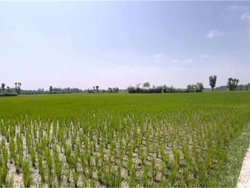बाढ़ ने तबाही मचाई, किसानों की मांगों ने उठाए नए सवाल!