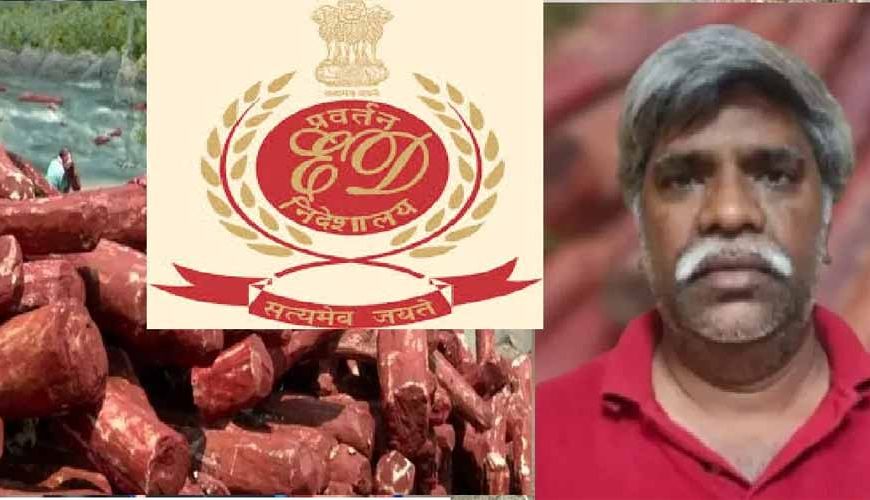 लाल चंदन तस्करी: ED ने अब्दुल जाफर की 8.6 करोड़ की संपत्ति कुर्क की