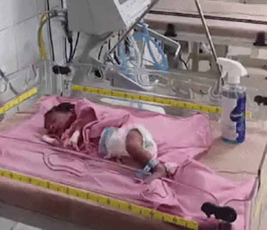 कन्या-पूजन पर्व पर नवजात बच्ची को छोड़ दिया, लूनकरणसर में झाड़ियों में मिली बच्ची