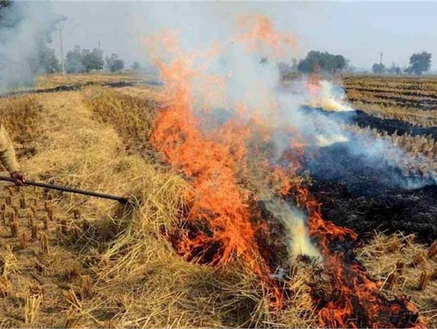 हरियाणा में प्रदूषण रोकने की बड़ी पहल: पराली जलाने वालों पर होगी सख्त कार्रवाई
