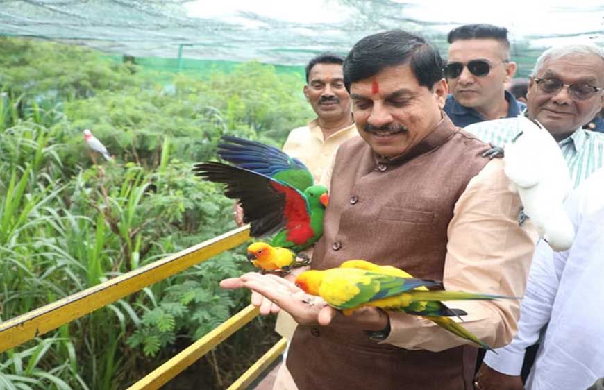 इंदौर प्राणी संग्रहालय में शिमोगा से आए चार जंगली भैंस, नए मेहमानों से मिलने पहुंचे मुख्यमंत्री यादव