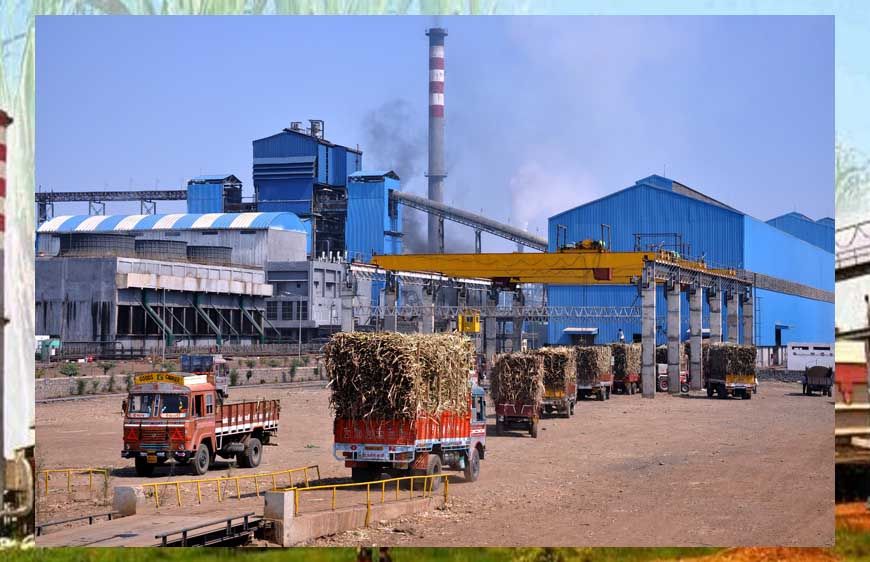 रायपुर : कवर्धा के गन्ना किसानों के लिए ऐतिहासिक फैसला