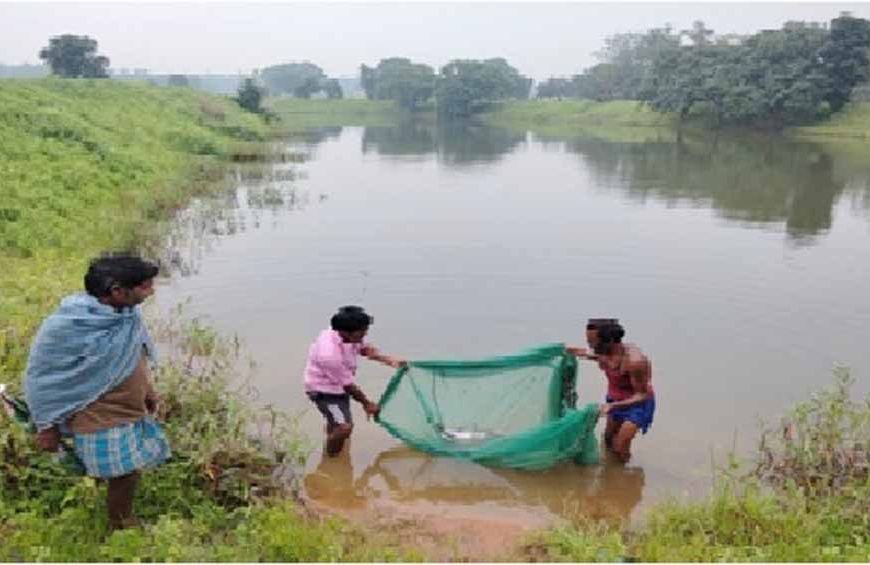 सफलता की कहानी: किशोरी अमृत सरोवर बना खुशहाली का स्रोत