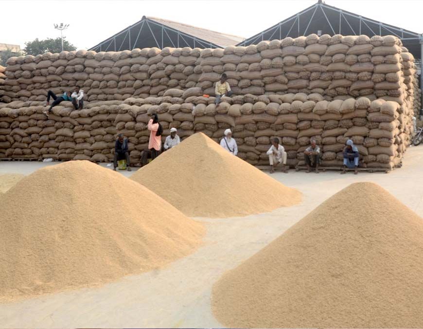 पश्चिमी यूपी में पहली अक्टूबर से होगी धान खरीद, साढ़े 23 हजार से अधिक किसानों ने कराया पंजीकरण