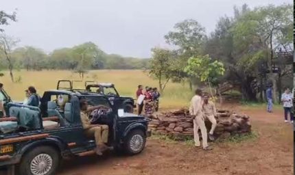 MP के पन्ना टाइगर रिजर्व के गेट 3 महीने बाद खुले, सफारी का रोमांच आज से शुरू