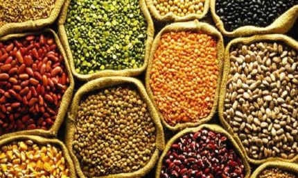 कैबिनेट ने हरी झंडी दिखाई: दालों में आत्मनिर्भरता के लिए 11,440 करोड़ रुपए का बड़ा प्लान मंजूर