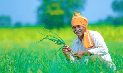 हरियाणा किसानों के लिए बड़ी राहत: ट्यूबवेल बिजली बिल का भुगतान स्थगित, जानें क्या है फायदा