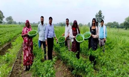मध्यप्रदेश में क्लस्टर आधारित सब्जी उत्पादन से बदली किसानों की किस्मत, 14 जिलों में 3000 लाभार्थी