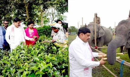 मध्यप्रदेश और असम के बीच वन्य जीव पर्यटन में साझेदारी के लिए होगी विशेष पहल : मुख्यमंत्री डॉ. यादव