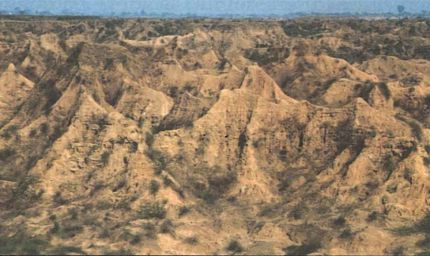 चंबल के बीहड़ में सोलर प्लांट: सरकार की बड़ी योजना से बदल जाएगी पहचान