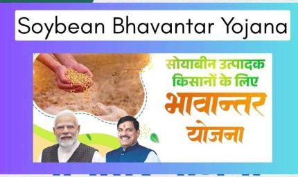 MP में भावांतर योजना को मिला जबरदस्त रिस्पॉन्स, 61,000 से अधिक किसानों ने कराया रजिस्ट्रेशन