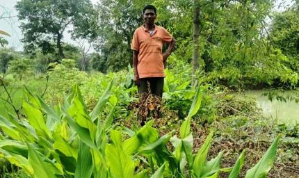 डबरी ने खोले समृद्धि के द्वार, दुलार सिंह का सपना हुआ साकार