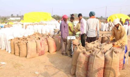 धान खरीदी के लिए एग्रीस्टैक पोर्टल में किसान पंजीयन अनिवार्य : किसान 31 अक्टूबर तक करा सकेंगे पंजीयन