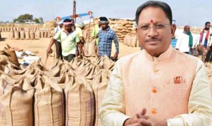 15 नवंबर से छत्तीसगढ़ में धान खरीदी शुरू, सीएम साय ने की घोषणा