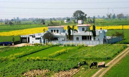 पंजाब की मिट्टी पर संकट: घटती उपजाऊ जमीन ने बढ़ाई चिंता