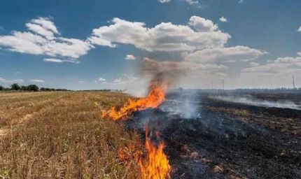 पराली को लेकर सीएम योगी सख्त, शून्य घटनाओं का लक्ष्य तय