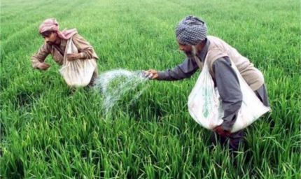 सरकार ने बदला फसल खरीदने का तरीका, किसानों के लिए नया अनिवार्य नियम लागू