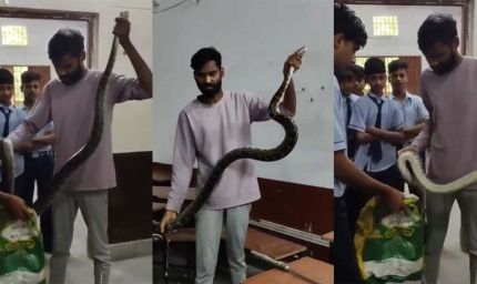 क्लासरूम में अजगर की दहशत, फुंकार से मचा हड़कंप, छात्रों का हुआ रेस्क्यू