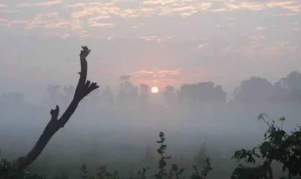 गुलाबी सर्दी से परेशान राजस्थान, मौसम विशेषज्ञ बताते हैं राहत की संभावना