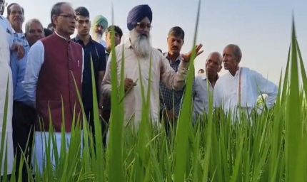 शिवराज सिंह का किसानों को सुझाव: खेती का पैटर्न बदलें, नई बासमती किस्म से होगा बंपर उत्पादन