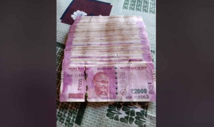 दीवाली की सफाई बनी किस्मत बदलने वाली! पुराने सेट-टॉप बॉक्स से निकली ₹2000 की गड्डियां