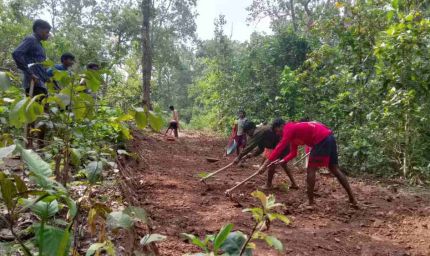 स्वयं की मेहनत, खुद की सड़क: गुड़ियापदर के ग्रामीणों ने दिखाया विकास का जज़्बा